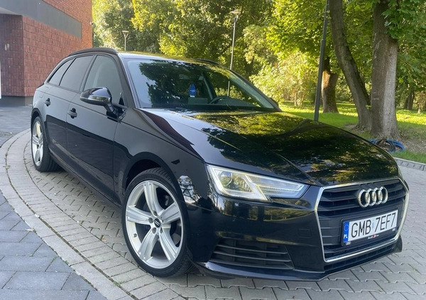 Audi A4 cena 77700 przebieg: 180000, rok produkcji 2019 z Malbork małe 466